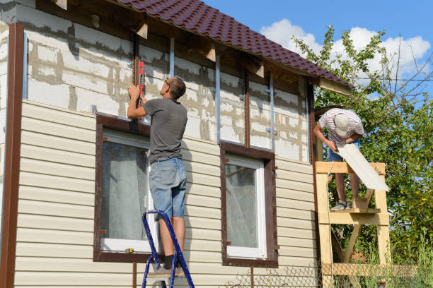 Best Wood Siding Installation  in Ithaca, MI